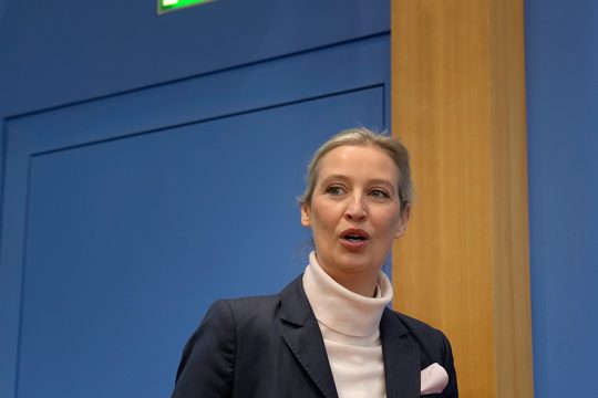 alice weidel